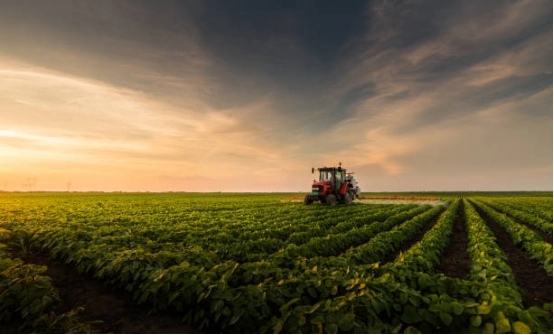 Hydraulic Cylinders for Tractors What OEM Buyers Should Know